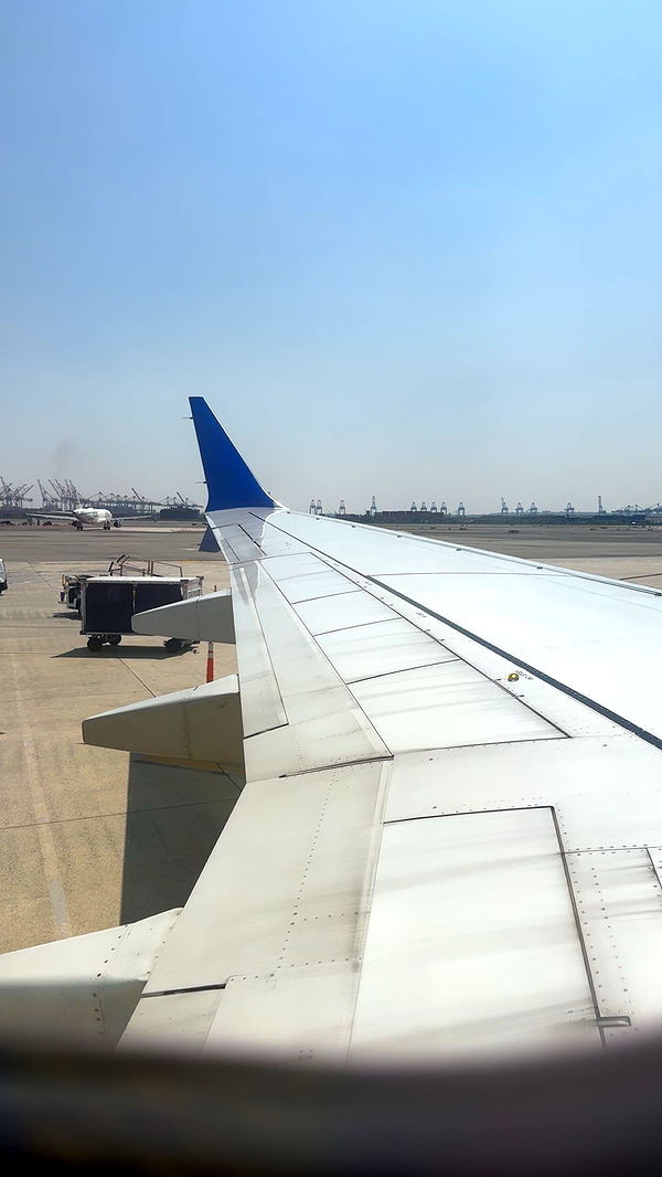 carmmieecat image ~ Altpins