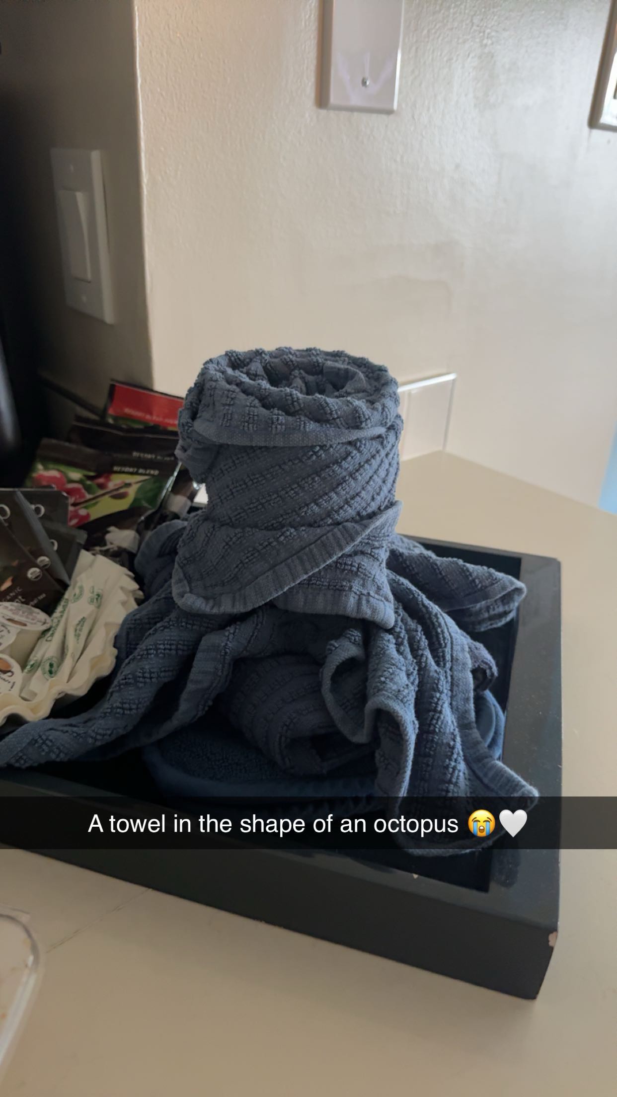 carmmieecat snapchat image archive image