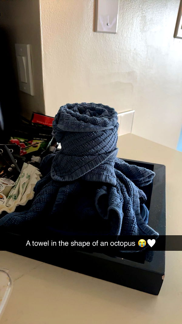 carmmieecat image ~ Altpins