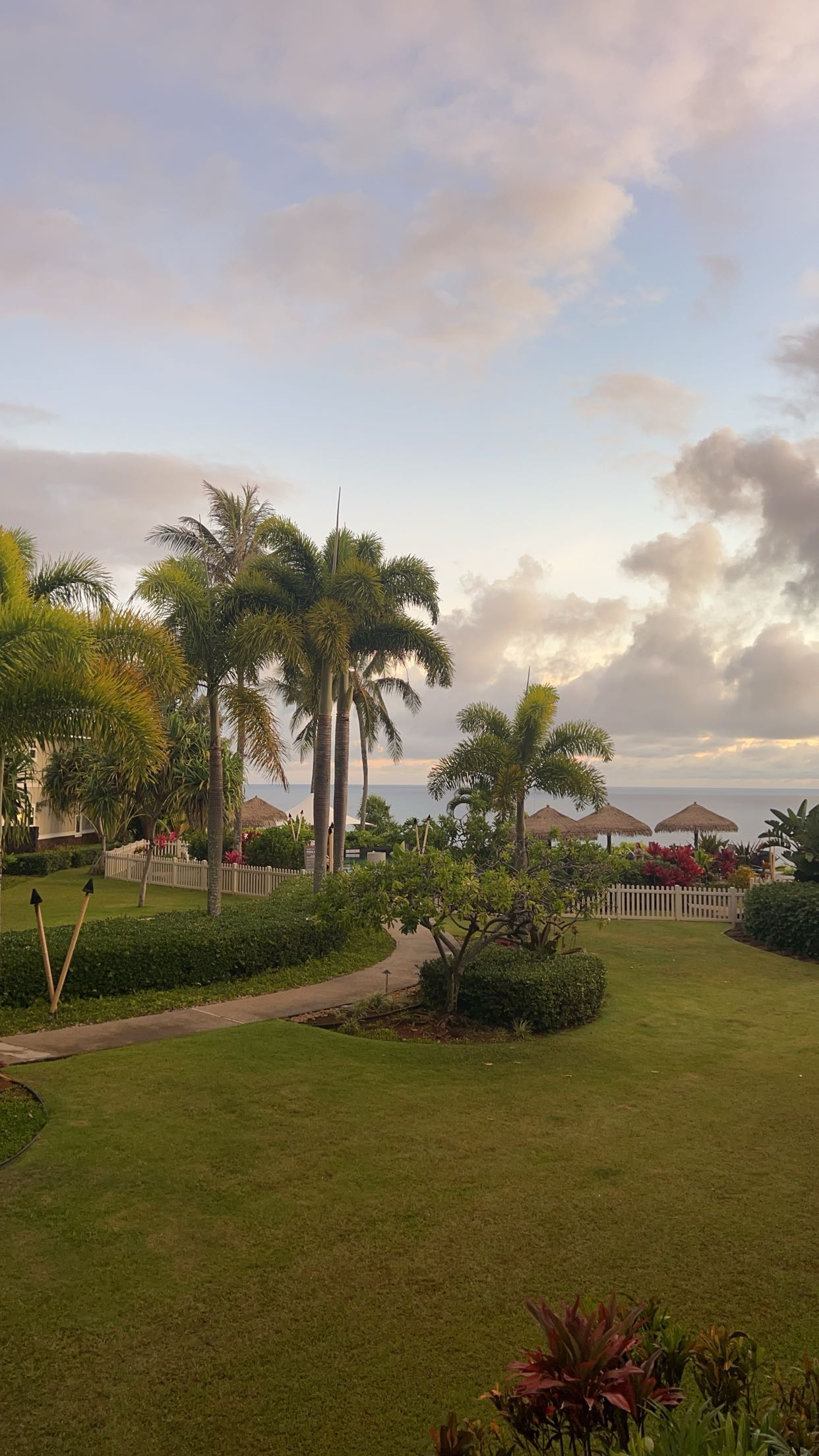 carmmieecat snapchat image archive image