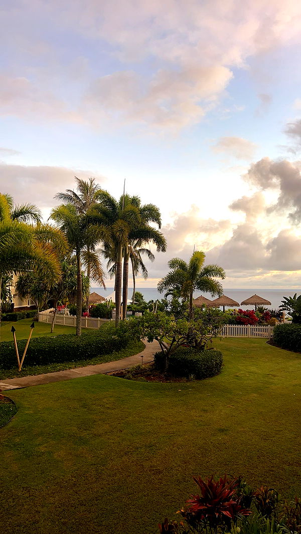 carmmieecat image ~ Altpins