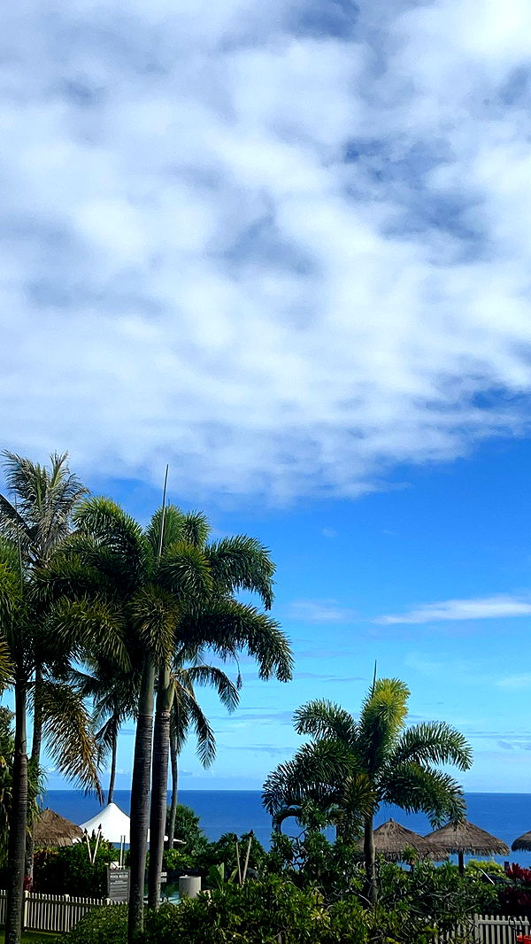 carmmieecat image ~ Altpins