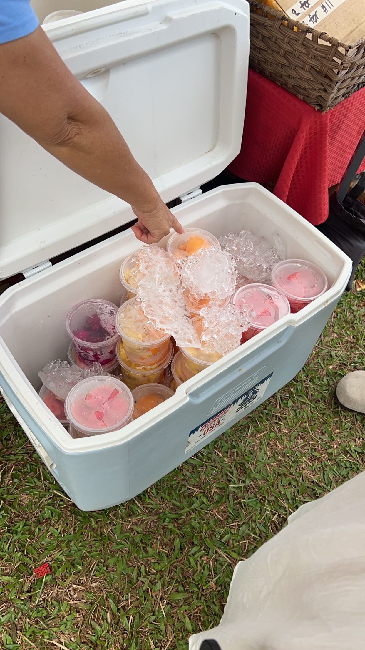 carmmieecat snapchat image archive image