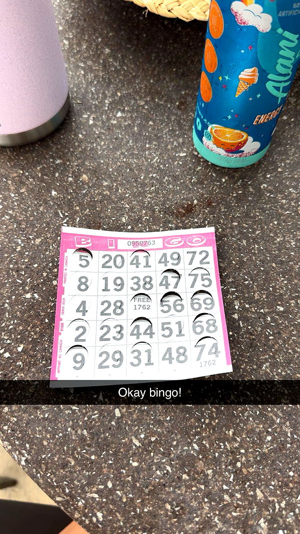 carmmieecat image ~ Altpins