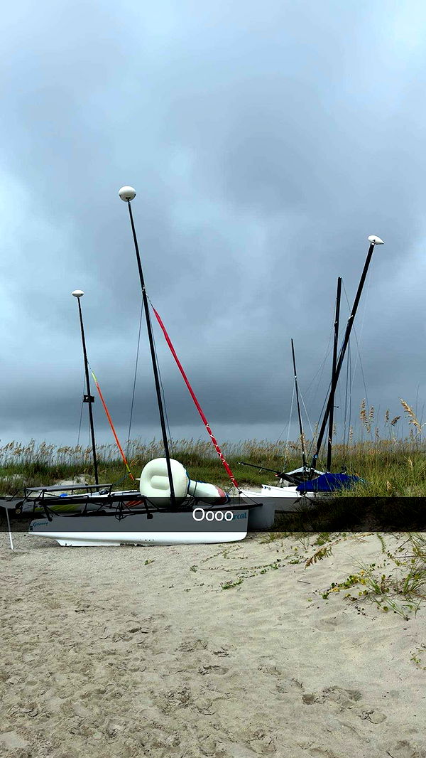 carmmieecat image ~ Altpins