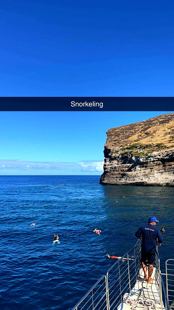 carmmieecat image ~ Altpins