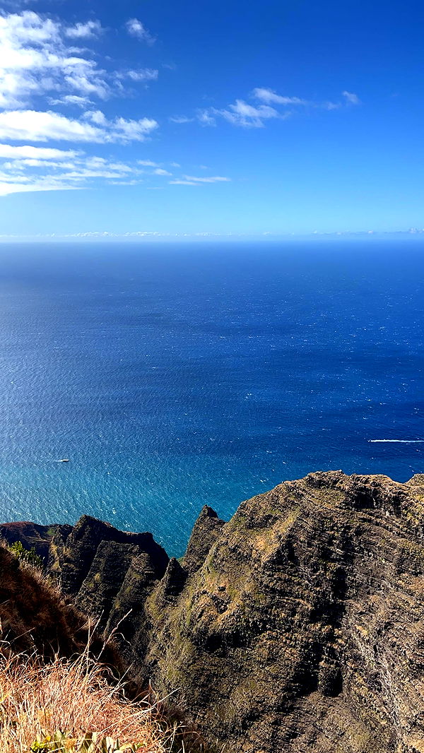 carmmieecat image ~ Altpins