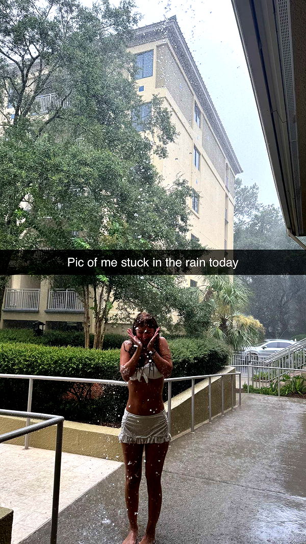 carmmieecat image ~ Altpins