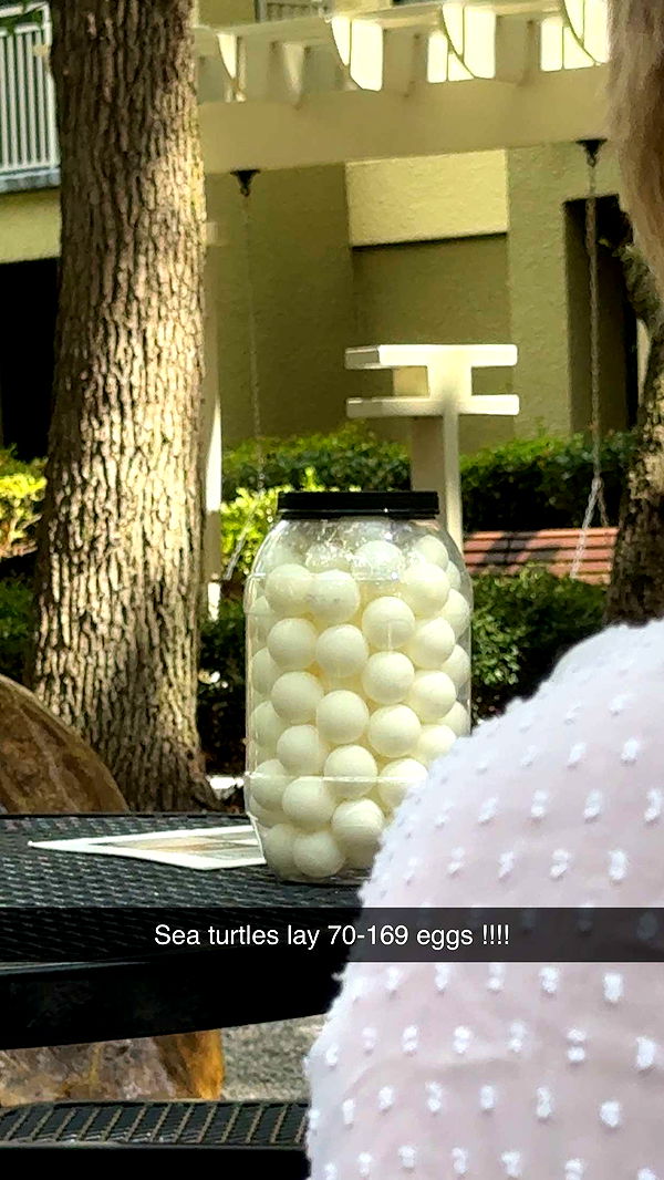 carmmieecat image ~ Altpins