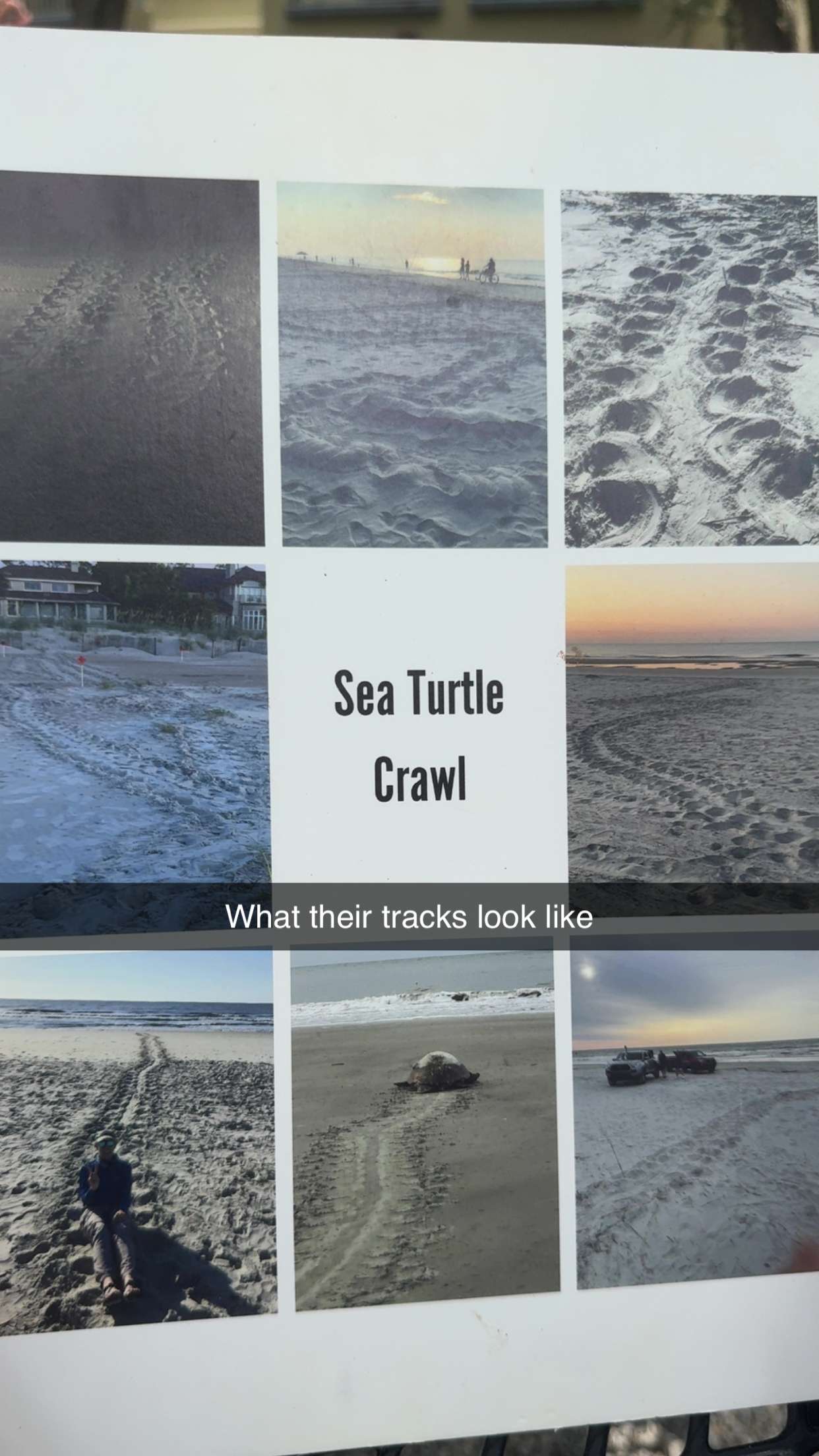 carmmieecat snapchat image archive image