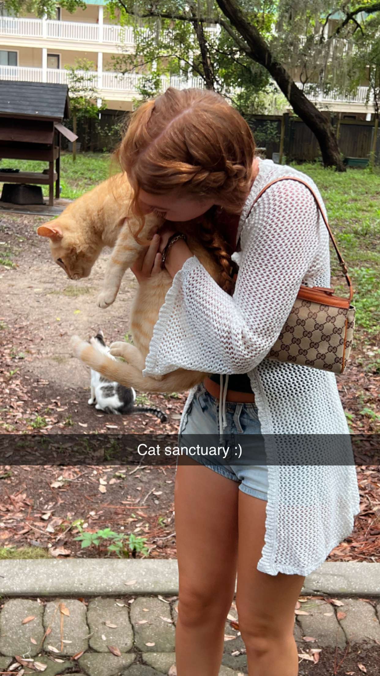 carmmieecat snapchat image archive image