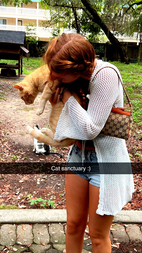 carmmieecat image ~ Altpins