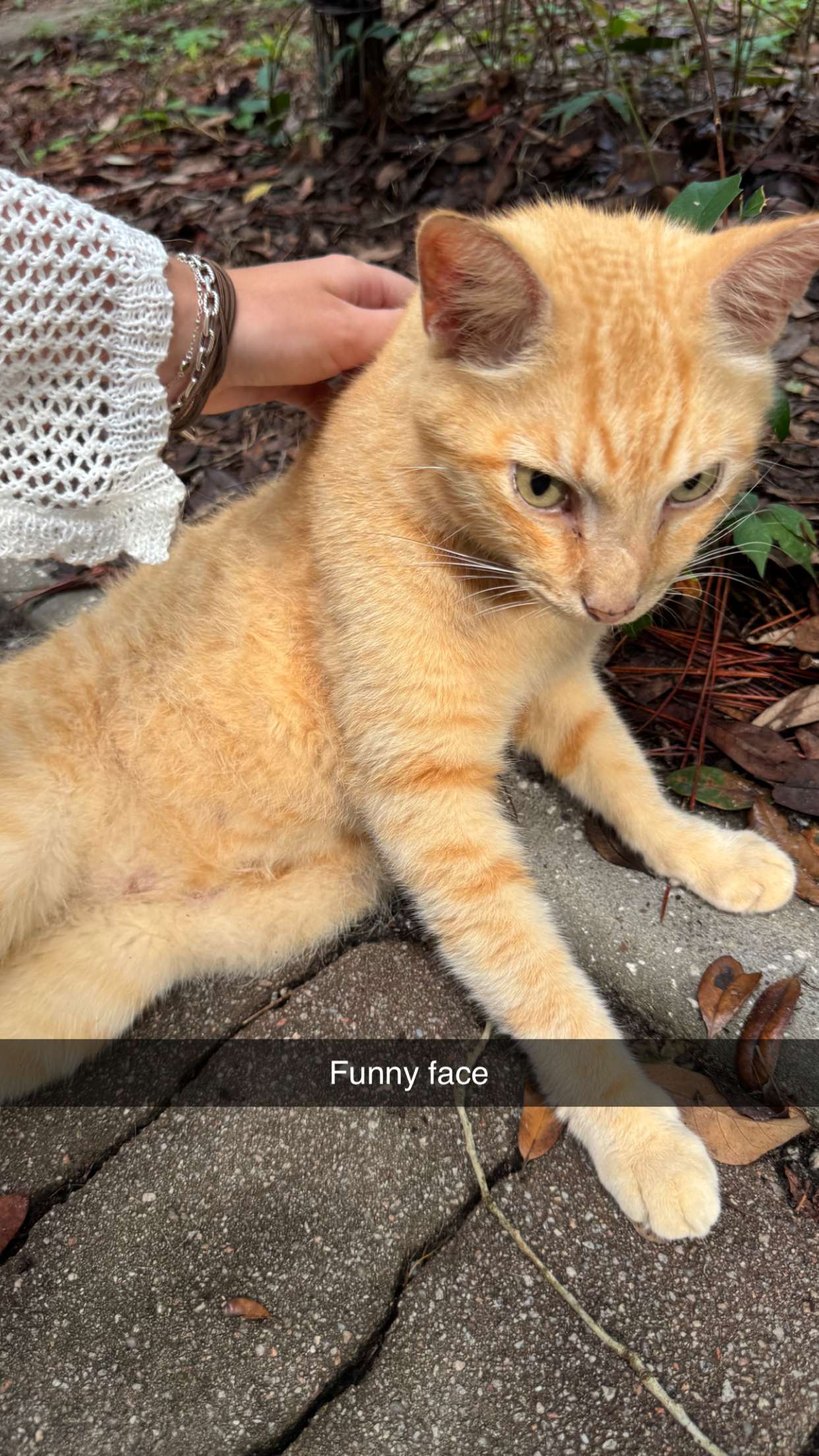 carmmieecat snapchat image archive image