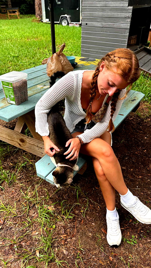 carmmieecat image ~ Altpins