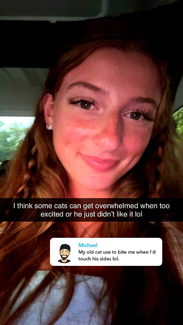 carmmieecat image ~ Altpins