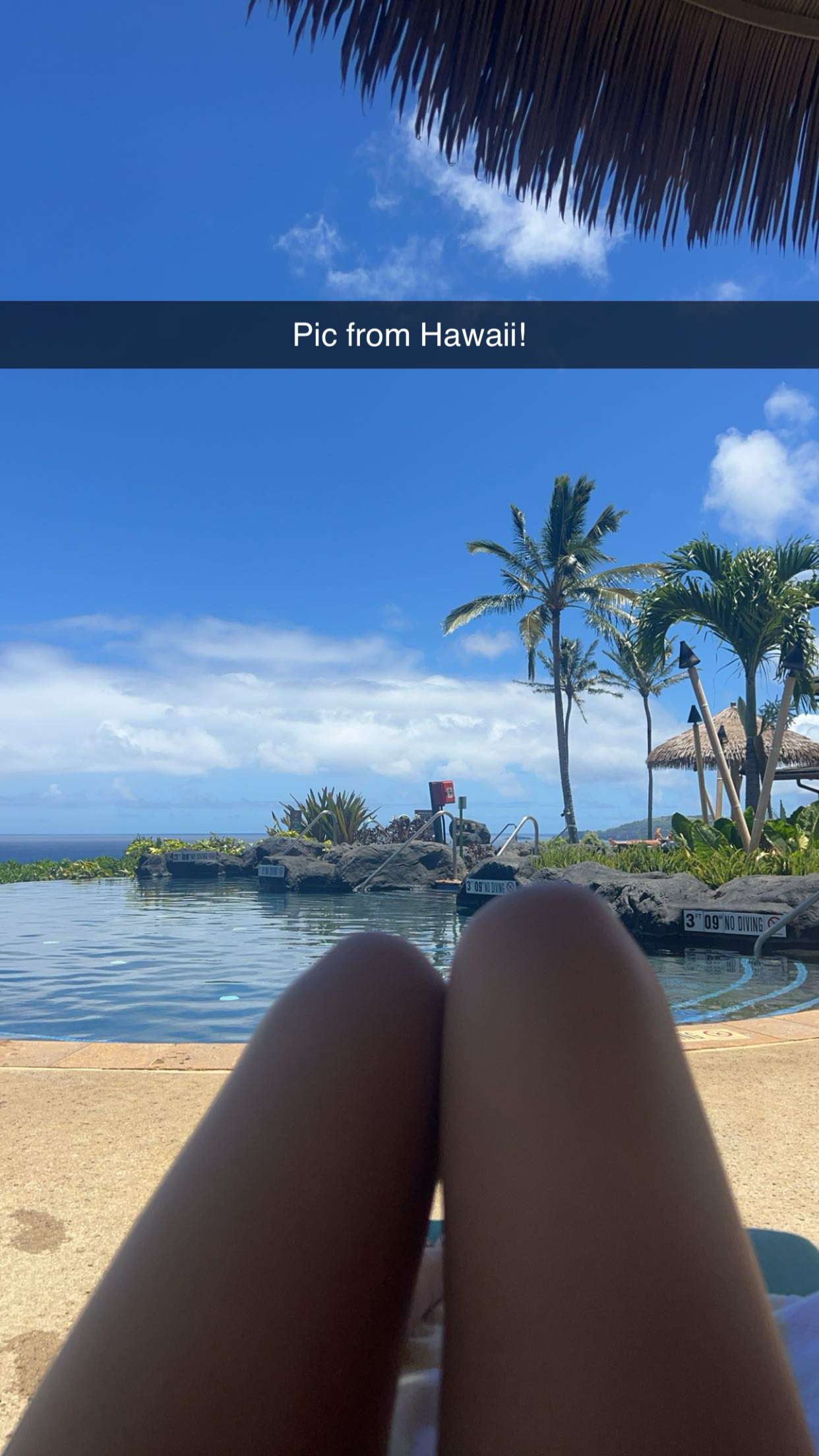 carmmieecat snapchat image archive image