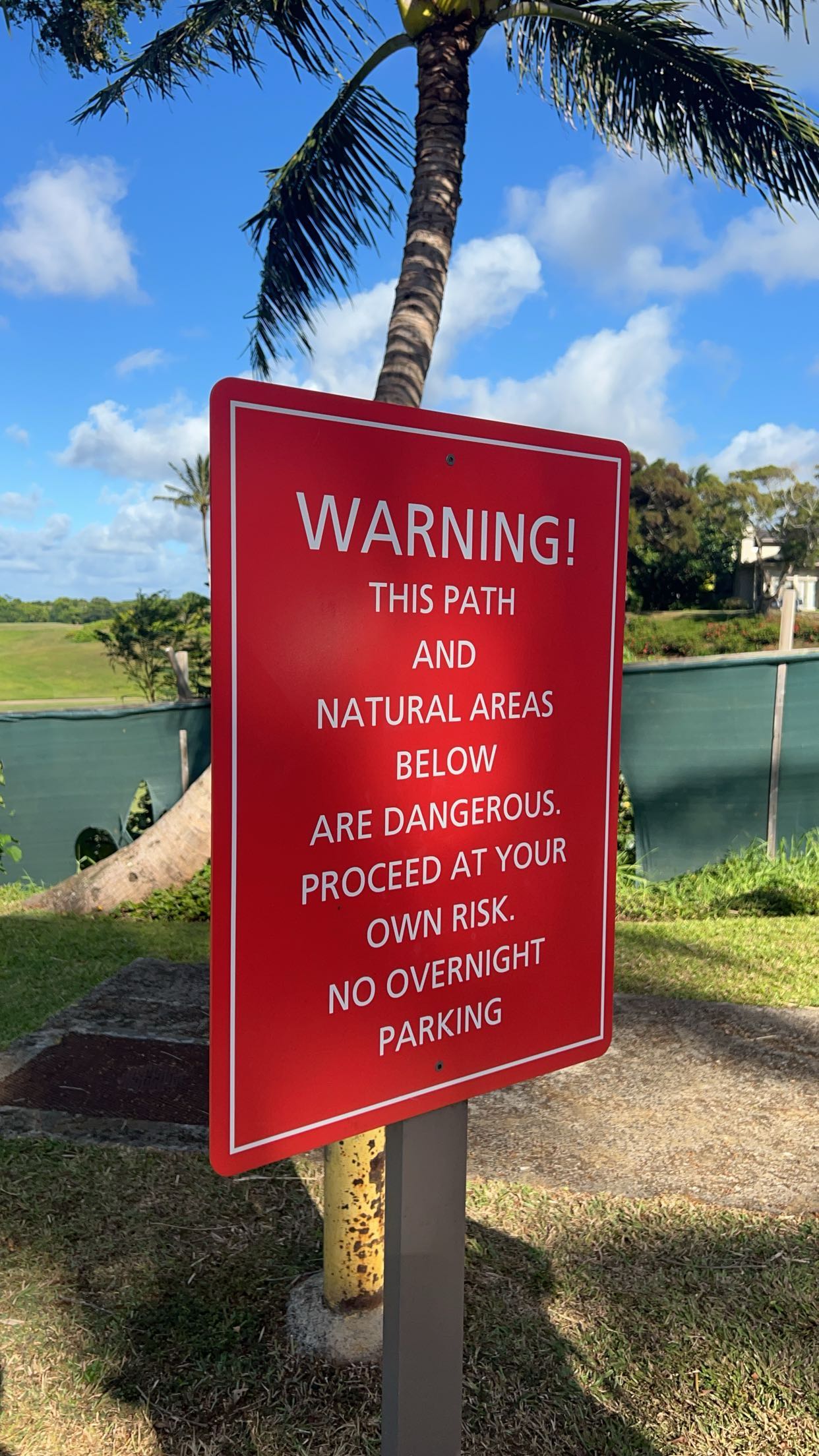 carmmieecat snapchat image archive image