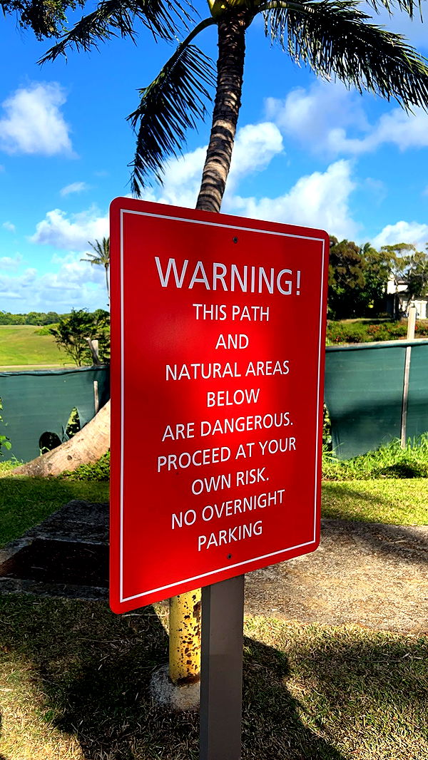 carmmieecat image ~ Altpins