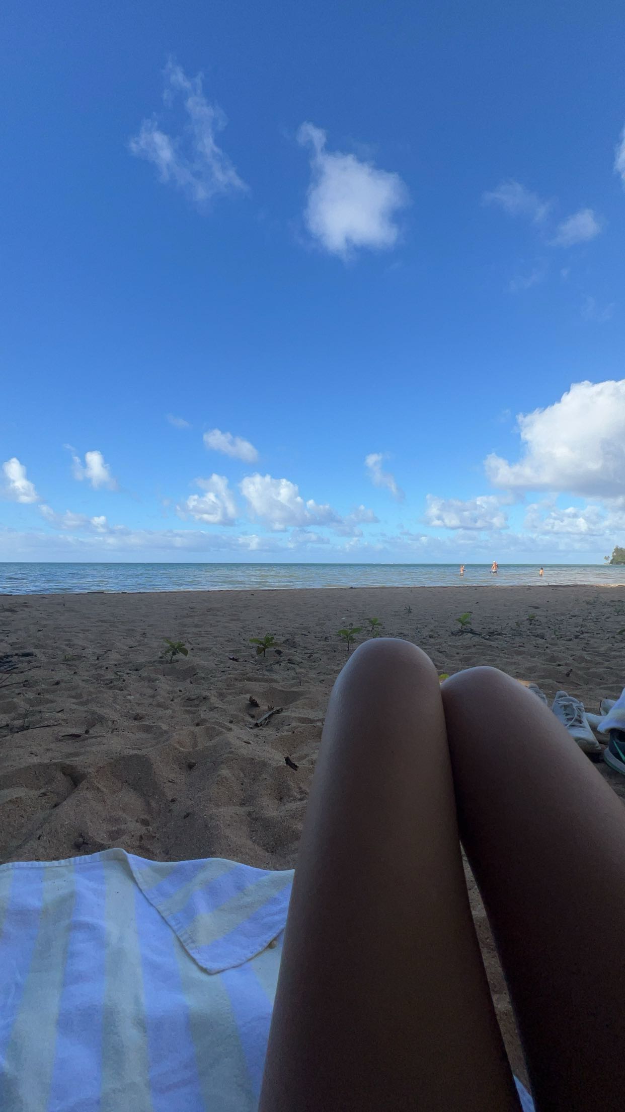 carmmieecat snapchat image archive image