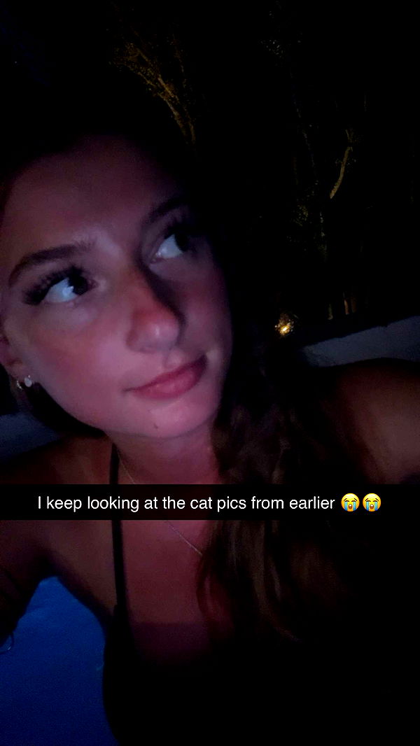 carmmieecat image ~ Altpins