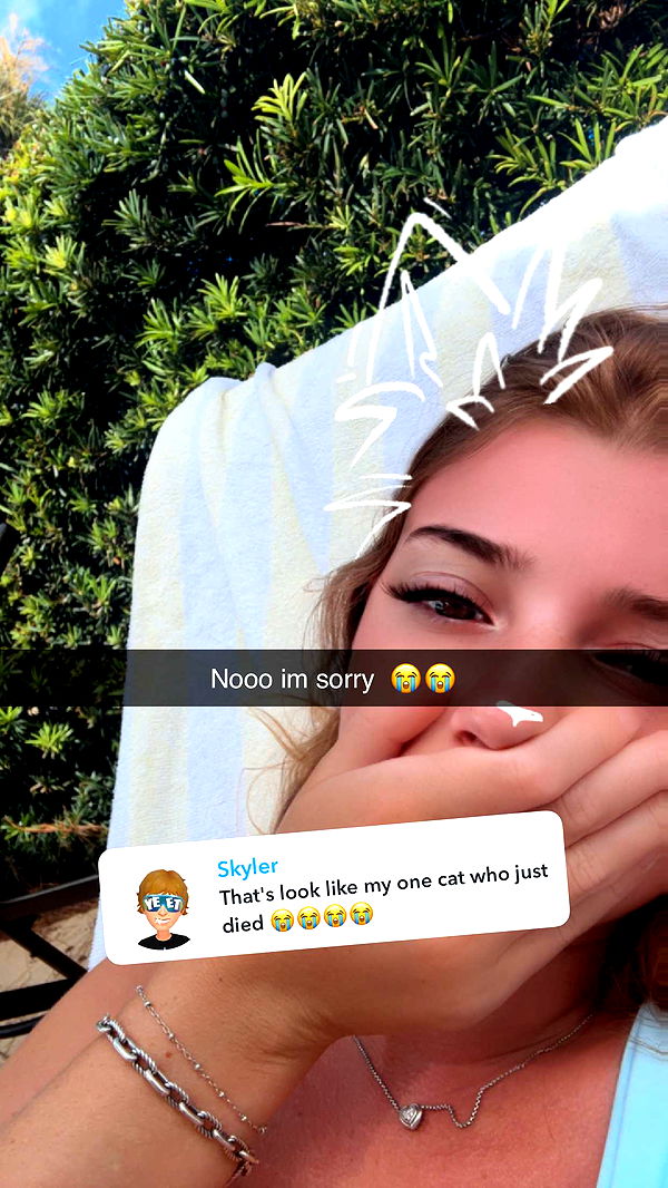 carmmieecat image ~ Altpins