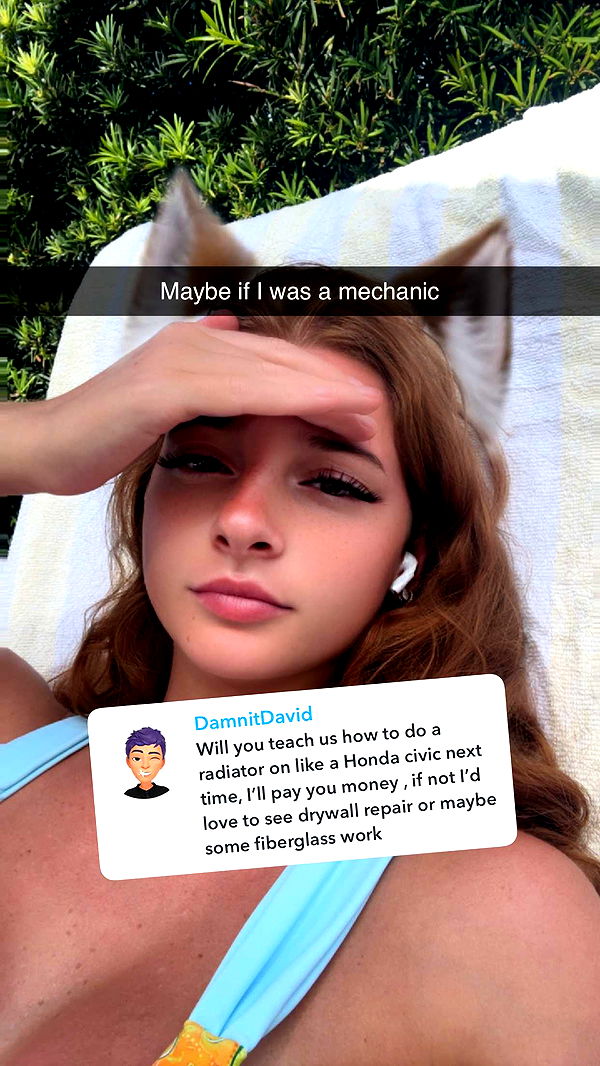 carmmieecat image ~ Altpins