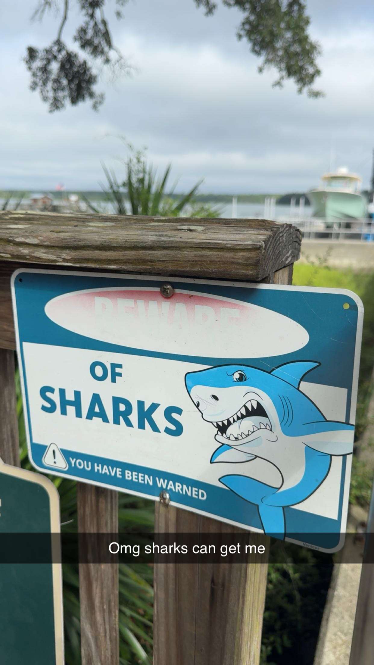 carmmieecat snapchat image archive image