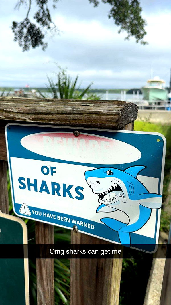 carmmieecat image ~ Altpins