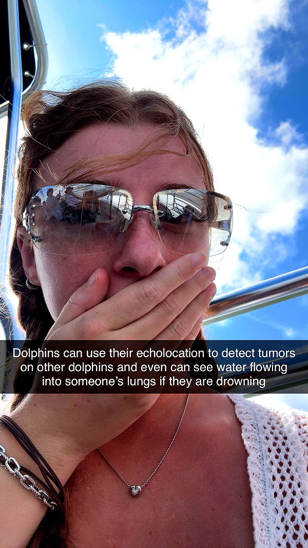 carmmieecat image ~ Altpins