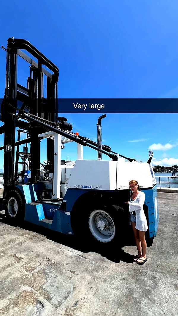 carmmieecat image ~ Altpins