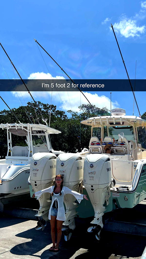 carmmieecat image ~ Altpins