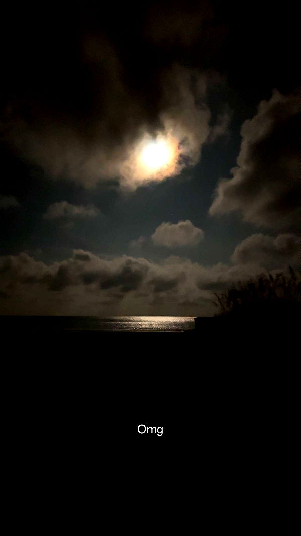 carmmieecat image ~ Altpins