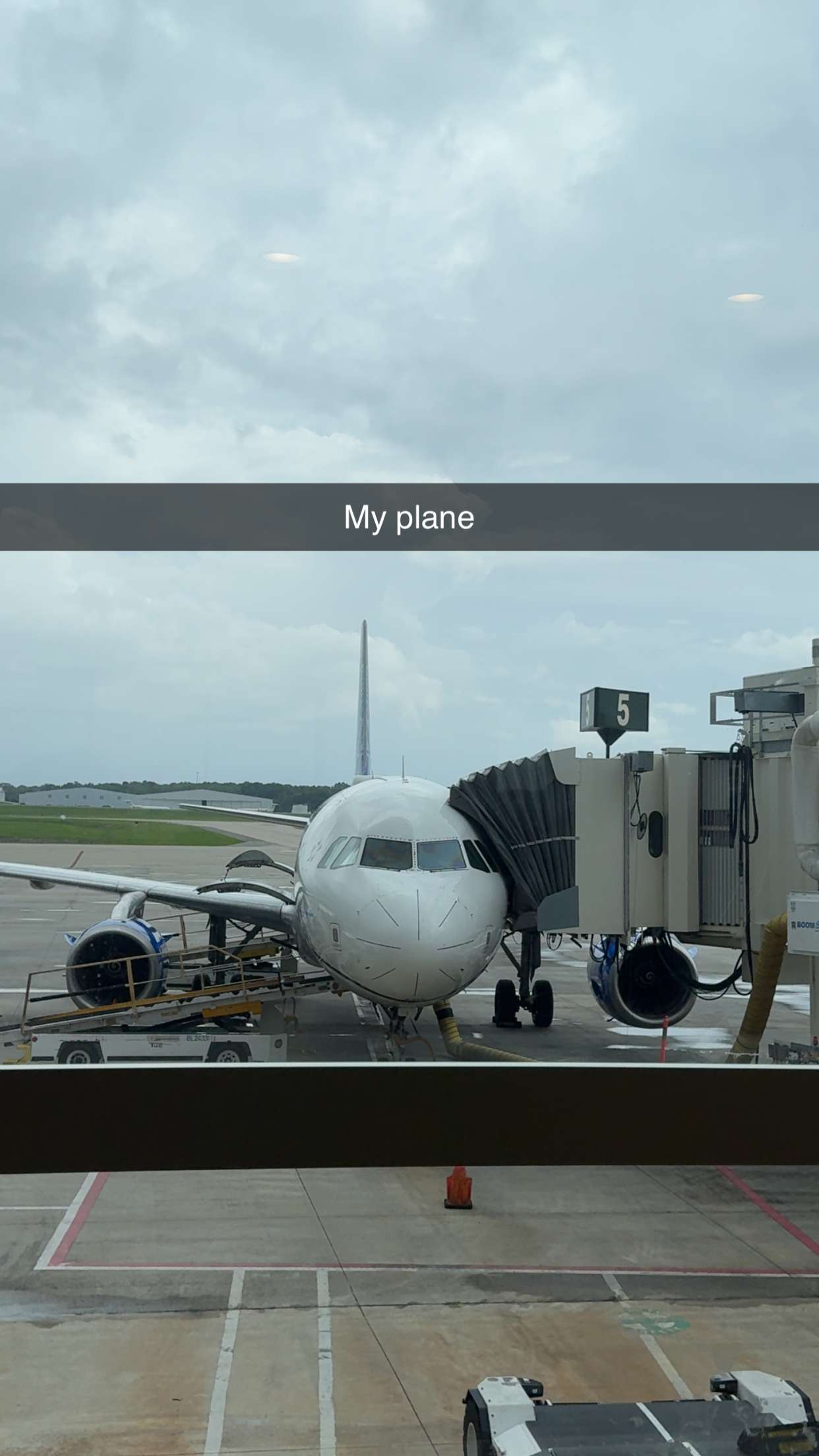 carmmieecat snapchat image archive image