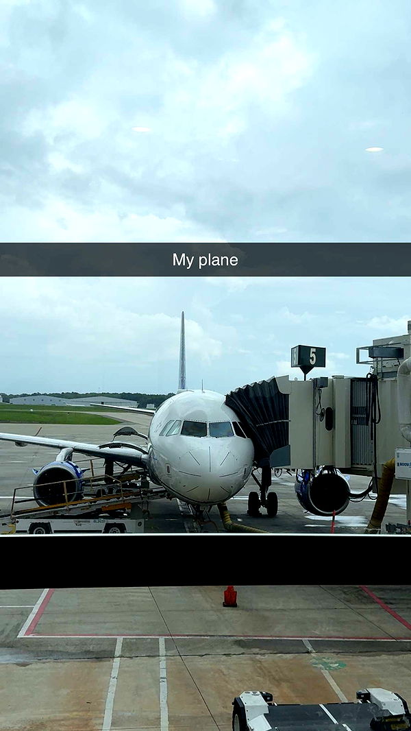 carmmieecat image ~ Altpins