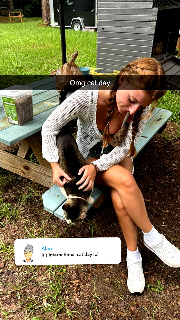 carmmieecat image ~ Altpins