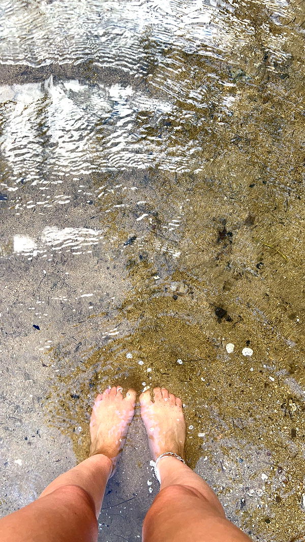 carmmieecat image ~ Altpins