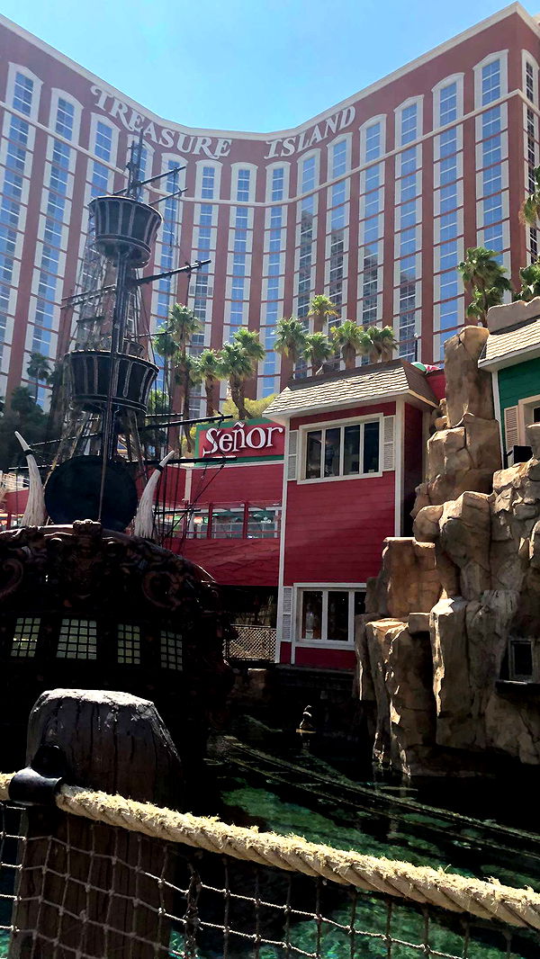 carmmieecat image ~ Altpins