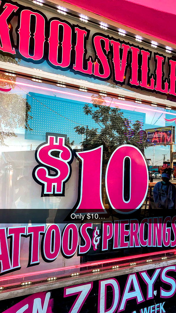 carmmieecat image ~ Altpins