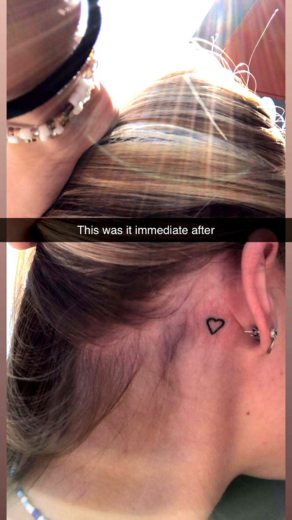 carmmieecat image ~ Altpins