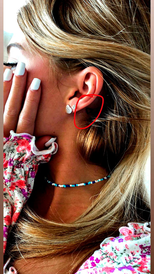 carmmieecat image ~ Altpins