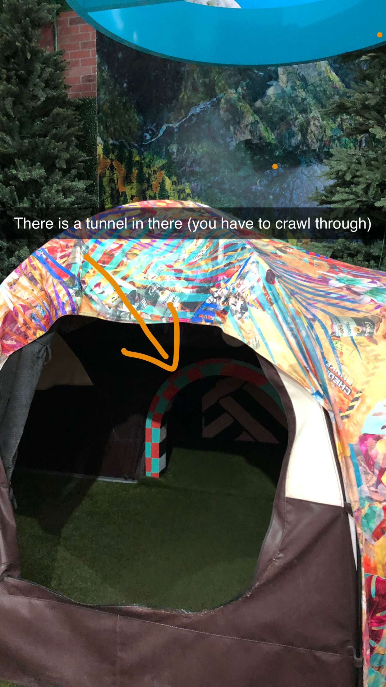 carmmieecat snapchat image archive image