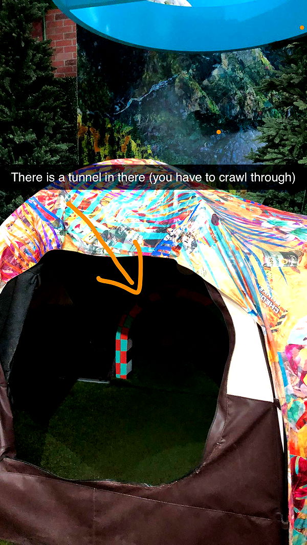 carmmieecat image ~ Altpins