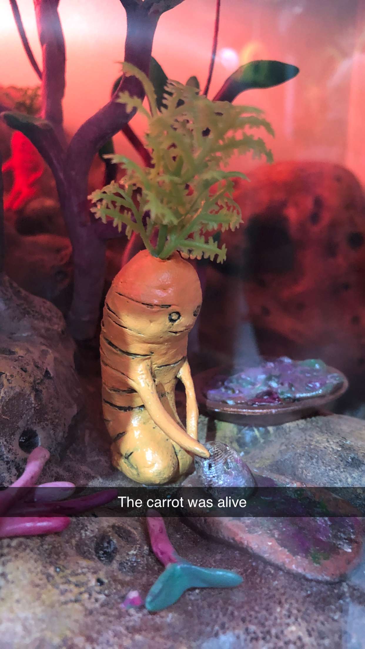 carmmieecat snapchat image archive image