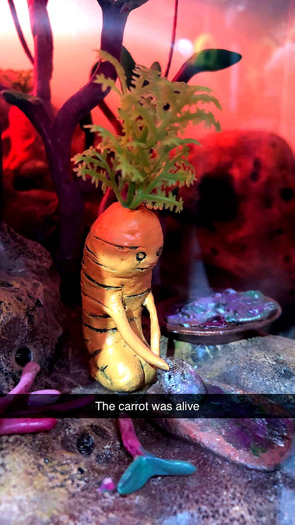 carmmieecat image ~ Altpins