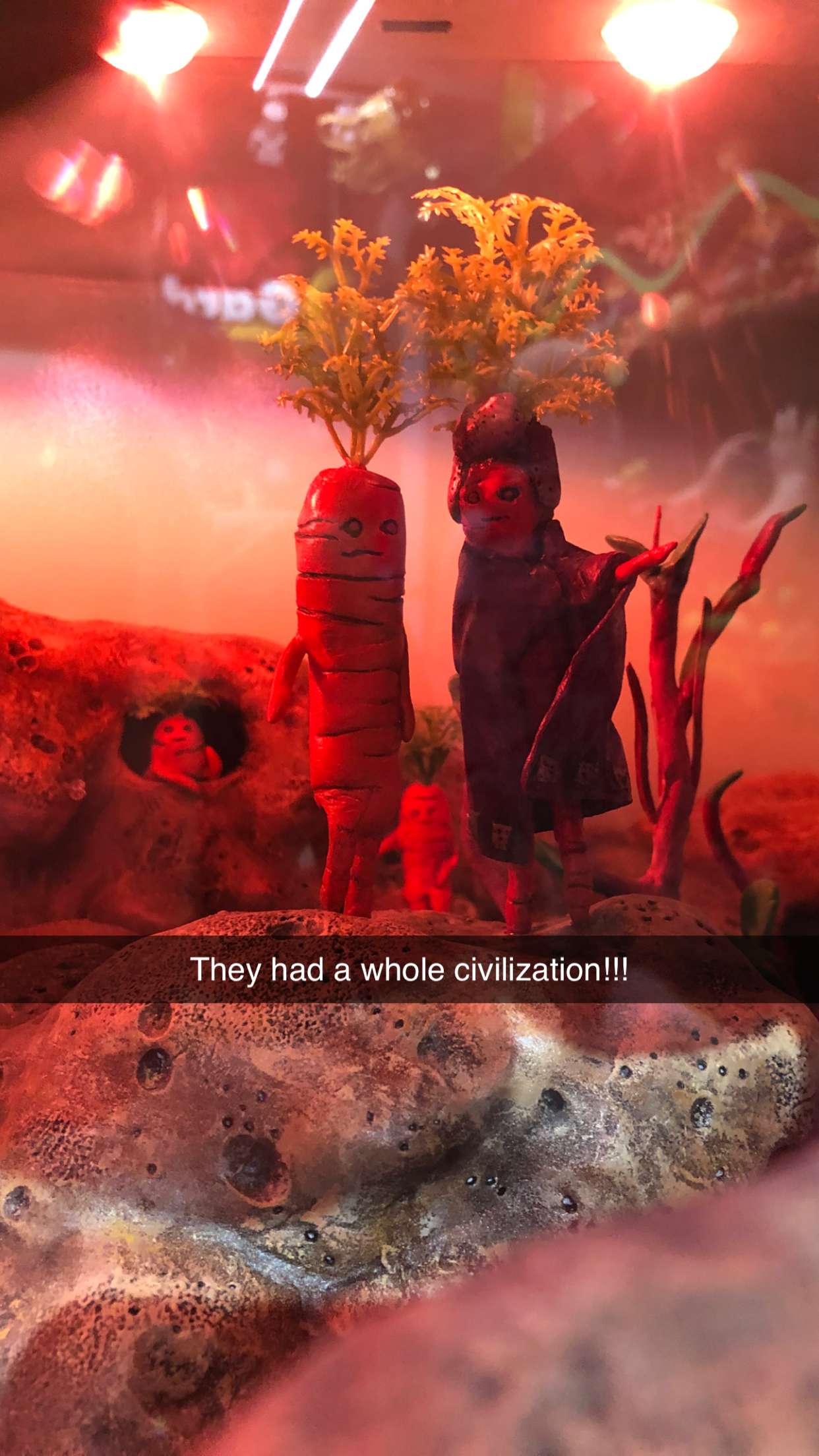 carmmieecat snapchat image archive image