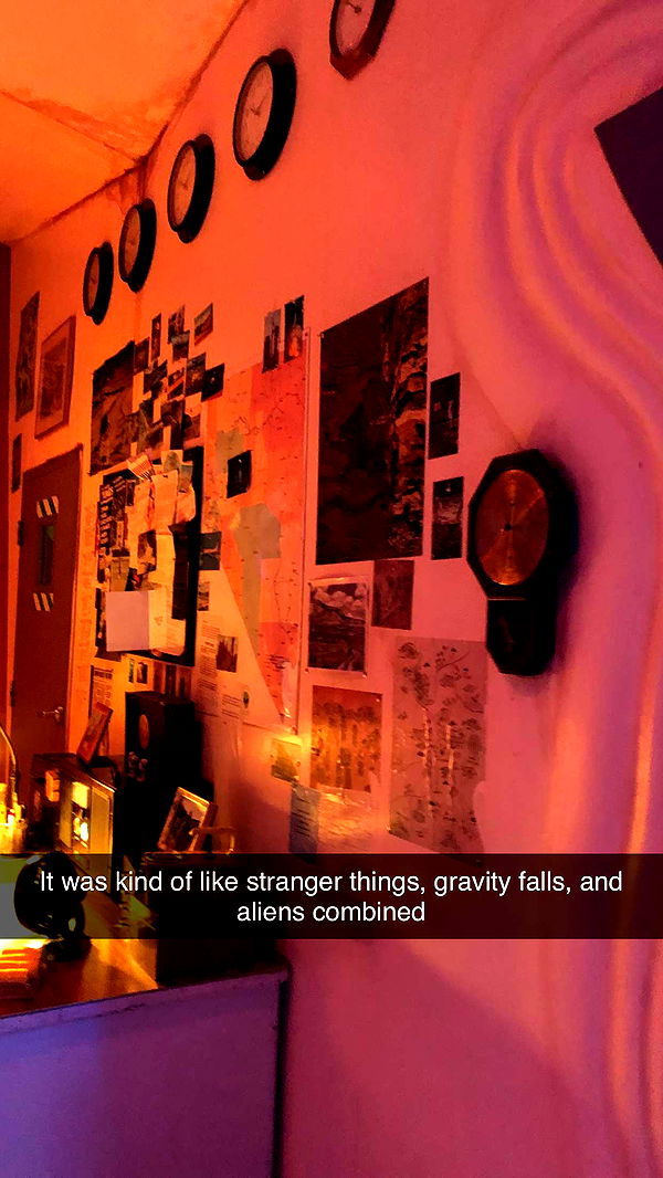 carmmieecat image ~ Altpins