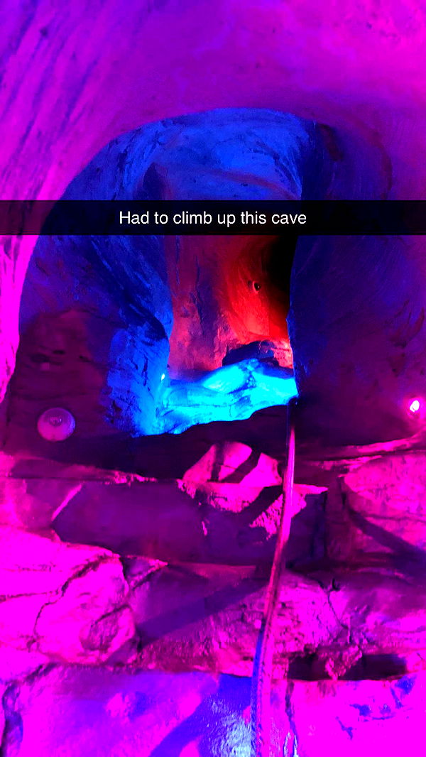 carmmieecat image ~ Altpins