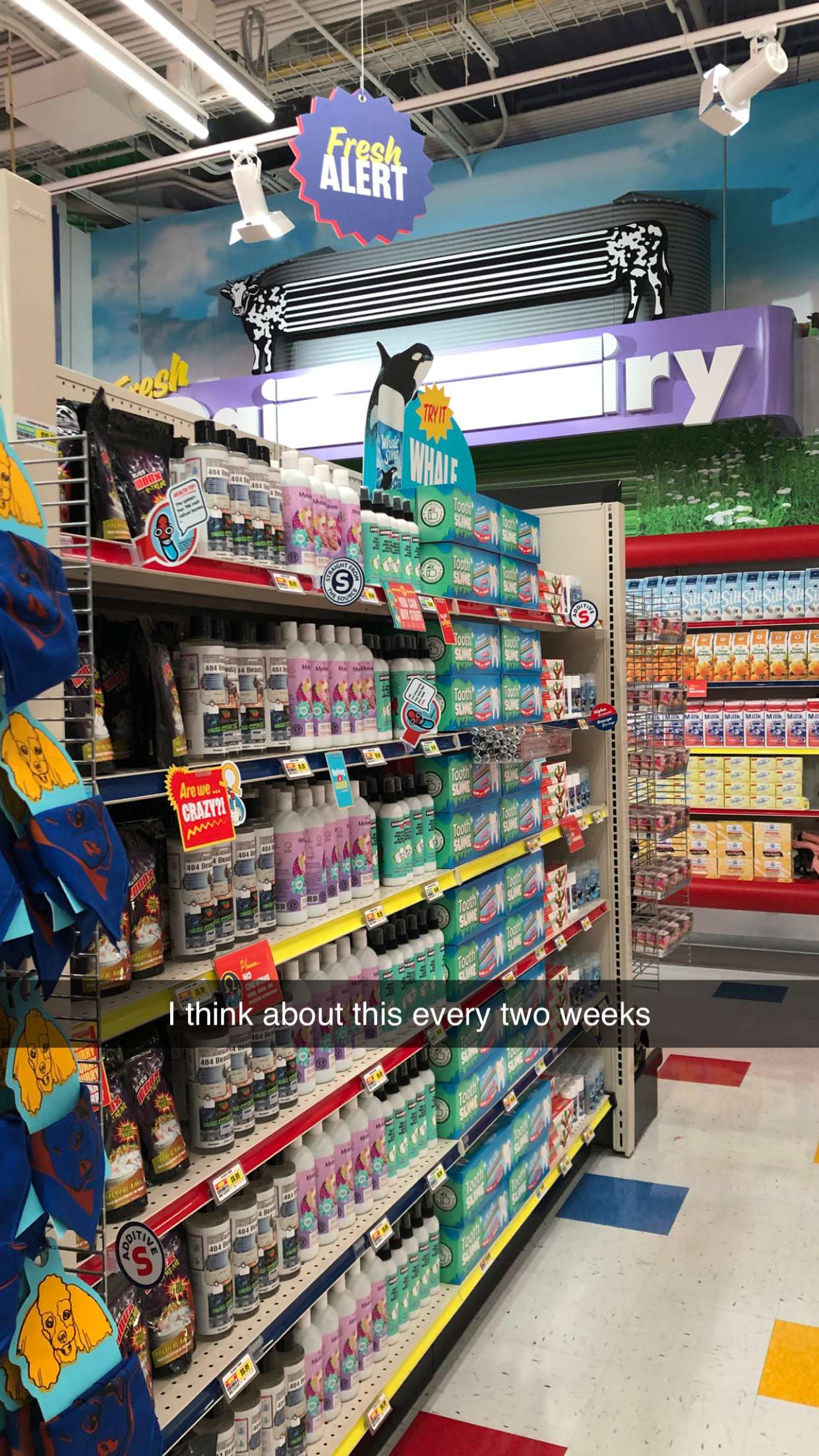 carmmieecat snapchat image archive image