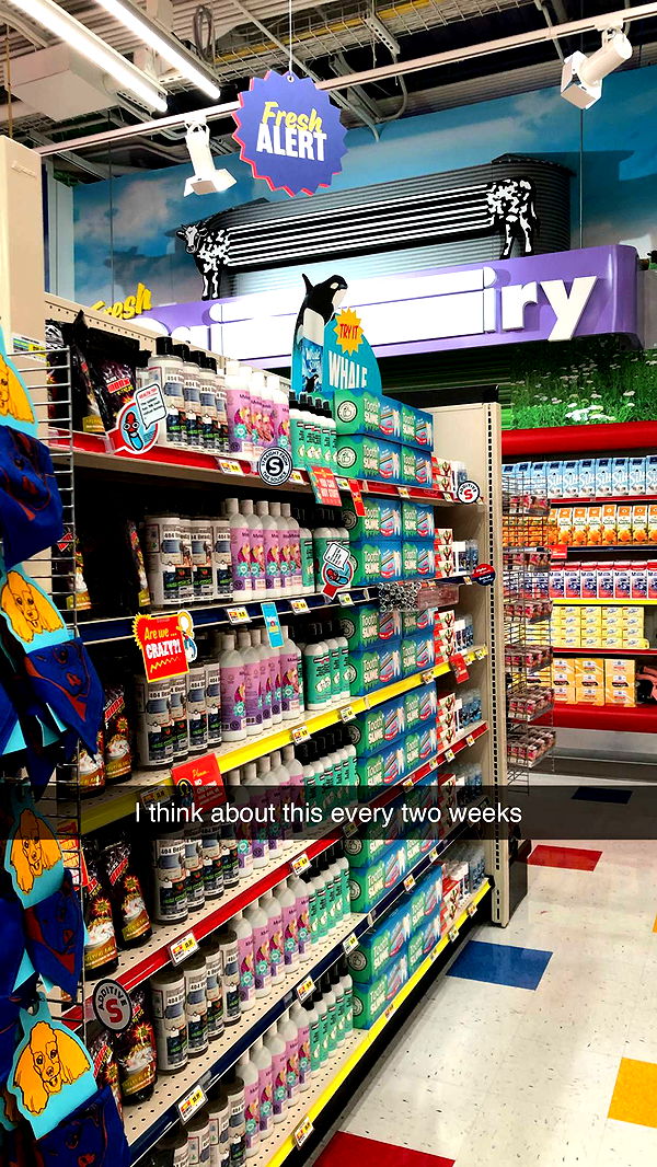 carmmieecat image ~ Altpins