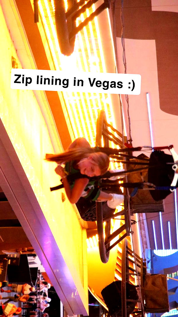 carmmieecat image ~ Altpins